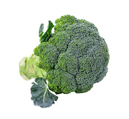 Fresh broccoli transparent png