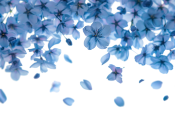 Blurry Flowers in Flight