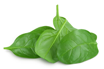 Baby spinach leaves isolated on white background
