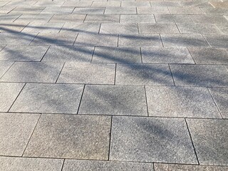 タイル舗装の広場に伸びる街路樹の影
