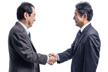 Business man shaking hand