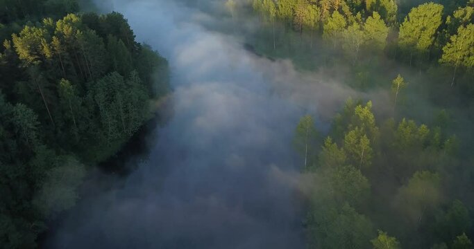 Foggy river with trees seen from above, surrounded by mist and clouds