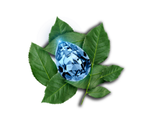 blue cut diamond on rose leaves, transparent background. for design fashion jewellery