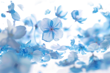 Blurry Flowers in Ethereal Flight