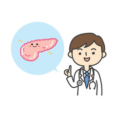 膵臓の説明をする医師