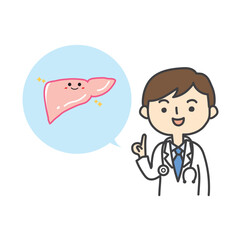 肝臓の説明をする医師