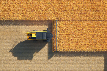 Breathtaking Aerial Shot of a Combine Harvester Working in a Vast Wheat Field - 767121072