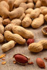 Healthy peanuts, close-up on burlap. Peanut background - 767123854