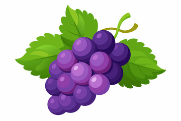 grapes-white-background.