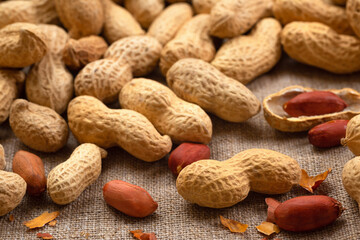 Peanut. Roasted peanuts in shell on burlap - 767124284