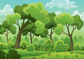 Forest landscape with deciduous trees, green grass, bushes and sunlight spots on ground. Scenery hand draw view, summer or spring wood. Cartoon forest daytime,  illustration