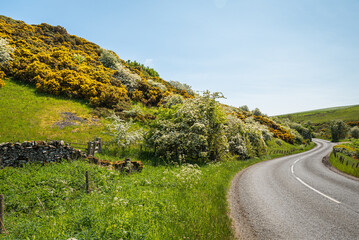 A winding country road in the Scottish Borders