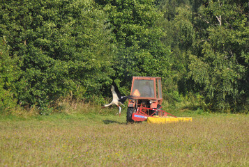 Traktor na polu, koszenie trawy, sianokosy - obrazy, fototapety, plakaty