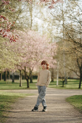 Fototapeta premium A family relaxes in a park at sunset during the cherry blossoms