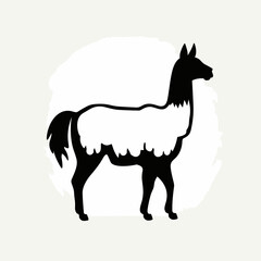 Fototapeta premium Llama black icon on white background. Llama silhouette