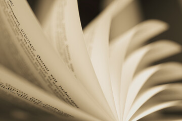 Opened Book with Pages Fanned Out - Abstract Sepia Tone Pattern