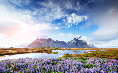 The picturesque landscapes forests and mountains of Iceland