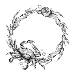 Obraz premium Underwater world clipart with sea animals crab, starfish and algae. Graphic illustration hand drawn in black ink. Circle wreath, frame EPS vector.