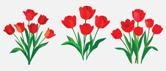 Tulip flower. Vector illustration clip art