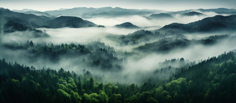 A misty natural landscape with trees shrouded in fog, mountains looming in the background, cumulus clouds hovering low in the sky, creating a mysterious atmosphere
