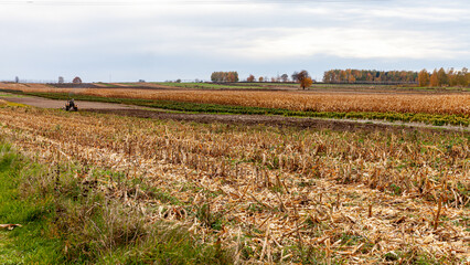 Beautiful autumn landscape in the countryside.