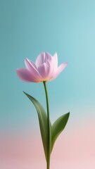 A pink flower with a blue background. The flower is the main focus of the image. The background is a light blue color, which creates a calming and peaceful mood. Concept of tranquility and beauty