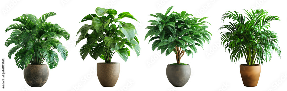 Poster collection of realistic plants with ceramic pots isolated on transparent background. 3d rendering