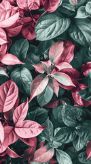 red and green leaves