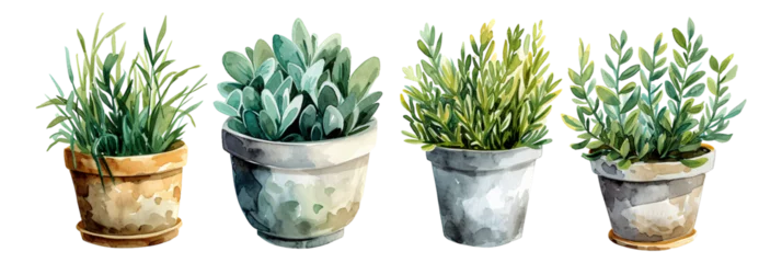 Wandcirkels plexiglas Watercolor style plant elements combination on a transparent background © Anthony