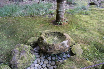 鎌倉のお寺　苔