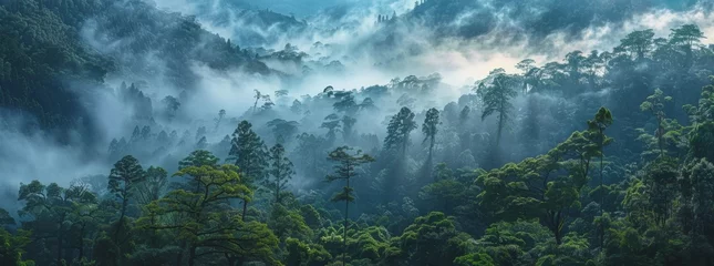 Foto op Aluminium  KS A panoramic view of the dense forest canopy. © กิตติพัฒน์ สมนาศักดิ