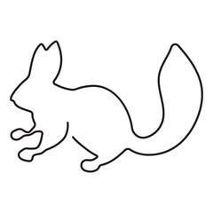 squirrel icon isolated on white background, vector illustration.