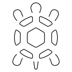 turtle icon isolated on white background, vector illustration.