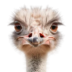 Zelfklevend Fotobehang Front view of close-up portrait of ostrich head on a clipped PNG transparent background © Ivan Guia