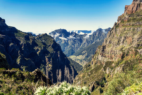 The picture depicts the PR1 Vereda do Areeiro trail in Madeira. A rocky path surrounded by lush greenery leads towards majestic mountain peaks piercing through a sea of clouds under a clear sky.