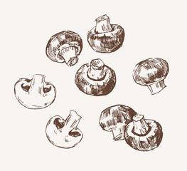 Set of whole and sliced champignon mushrooms, hand drawn illustration
