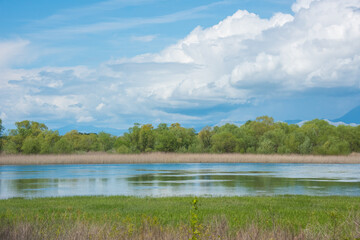 Landscape with Shkodra lake， Al bania