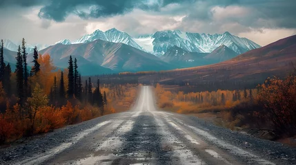Fotobehang Landscapes on Denali highway. Alaska. Instagram filter, ai Generated  © Hamid