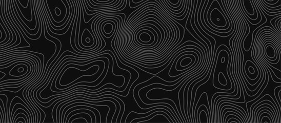 Abstract wave paper curved reliefs background .gradient multicolor wave curve lines banner background design .topographic contours map background .Vector geographic contour map.