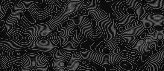 Abstract wave paper curved reliefs background .gradient multicolor wave curve lines banner background design .topographic contours map background .Vector geographic contour map.