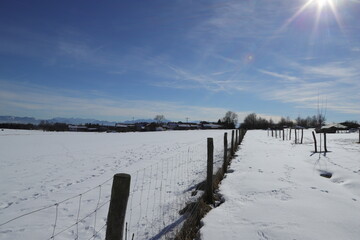 landscape with snow and fence