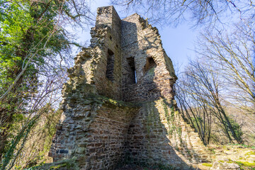 Ruine des Wohnturms der ehemaligen Burg Luttelnau an der Ruh bei Essen-Kettwig - 767189846