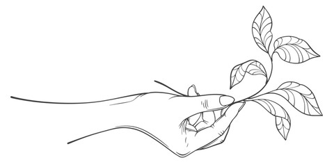 Hand holding plant line art Vector illustration