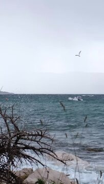One day after Storm Ciar&aacute;n - also called Emir - smashed into Krk Island with strong winds and driving rain. Beautiful rain curtain above the disquiet wavy sea surface near Njivice, Croatia.