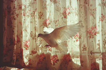 Dove in flight against vintage floral curtains and warm sunlight