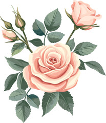 Rose Vector Blossom Elegant Flower clipart