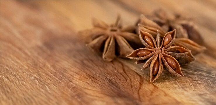 Anise star closeup banner