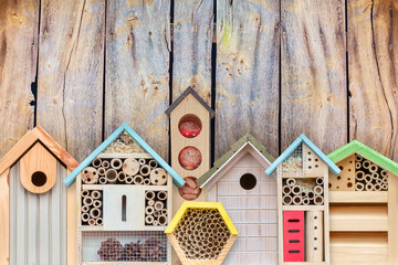Colorful new bird houses and insect hotels in front of a wooden wall - 767200472