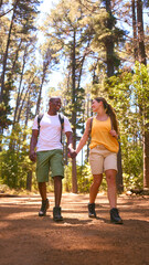 Loving Young Couple Wearing Backpacks Holding Hands Hiking Along Trail Through Countryside