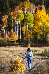 Woman walking towards Autumn Aspens Changing - obrazy, fototapety, plakaty